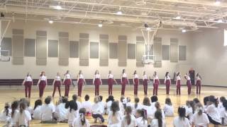 Gardendale high school Rockettes [upl. by Yleik]