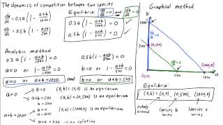 The dynamics of competition between two species equilibria 2 [upl. by Divadnoj]