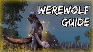 How to Become a WEREWOLF in Elder Scrolls Online ESO Guide [upl. by Euginomod]