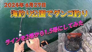 【釣り】2024年6月27日 海釣り公園でダンゴ釣り 「ラインを2号から15号にしてみた」【ダンゴ釣り】 [upl. by Asin49]