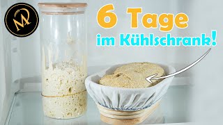 Was passiert wenn ein Teigling aus Sauerteig 6 Tage im Kühlschrank bleibt [upl. by Gebhardt]