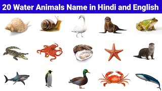 20 पानी में रहने वाले जीवों के नाम  Water Animals Name in Hindi and English  Water Animals [upl. by Hermann]