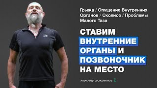 Ставим Внутренние Органы и Позвоночник На Место Легкое и Мощное Упражнение [upl. by Alvinia]