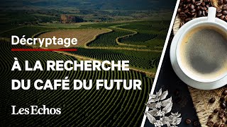 Menacé le café peutil se réinventer [upl. by Tod568]