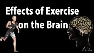 Effects of Exercise on the Brain Animation [upl. by Wilen]