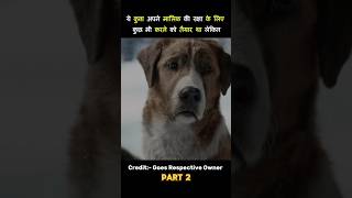 Call of the wild movie explained in hindi [upl. by Pubilis]