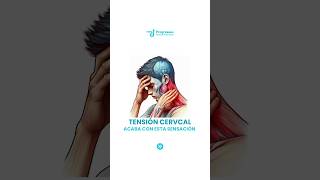 ❗️ACABA CON LA TENSIÓN CERVICAL❗️anatomy cervicales cervicalgia fisio ejercicio cabeza mareo [upl. by Steffen]