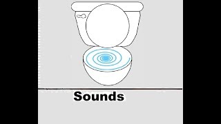 Toilet Flush Sound Effects All Sounds [upl. by Nemlaz]