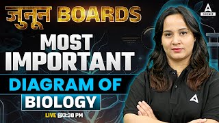 Most Important Diagram Of Biology  Class 12th Boards  Biology By Sakshi Maam [upl. by Enila]