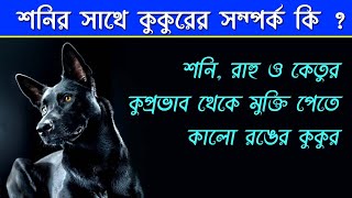 শনি রাহু ও কেতুর প্রতিকারে কালো কুকুর  Feed Black Dog As Remedy of Shani Rahu Ketu  Shani Upay [upl. by Kutzer]