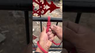 Knotting skills Easytolearn knots Practical knots Practical tips 61 [upl. by Myron]