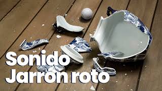 EFECTO DE SONIDO Jarrón ROTO ◾ broken vase sound effect [upl. by Edlitam184]