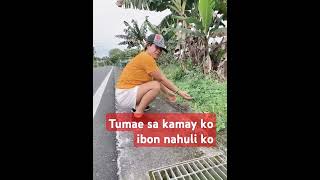 Tumae sa kamay ko ibon nahuli koshortvideo viralvideo [upl. by Akirehc]