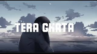 TERA GHATA SONG [upl. by Ramo759]