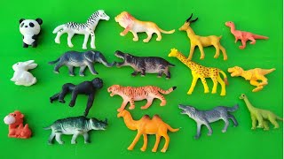 Dinosaurs sea animals Wild Animals Sea Animals for play animal toys for kids toddlers [upl. by Setarcos]