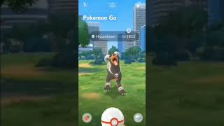 To catch Mega Houndoom in Pokemon Go with fireblast Spam□ pokemon [upl. by Ettennil]