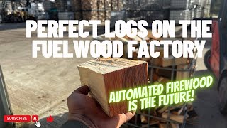 Day 133  Fuelwood Factory POWER Best logs on the market [upl. by Andres902]