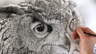 Hyperrealism Hyperrealistic owl drawing [upl. by Musihc]