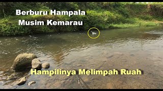 Mudahnya Mancing Hampala di Musim Kemarau  Titiktitik Spot Hampala Semarang [upl. by Hammerskjold65]