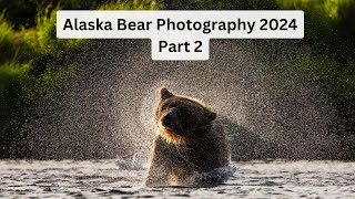 Photographing Brown Bears in Wild Alaska Part 2 Fishing bears cubs the trip of a lifetime [upl. by Tierell]