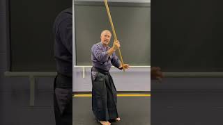 Aikido Jo tutorial Yokomen [upl. by Anavas]