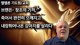 브랜든의 간증 창조의 기적 죽어서 완전히 으깨지고 내장까지 튀어나온 강아지를 살리다 [upl. by Anelehs]