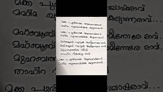 റജബിഖദീജത്തുങ്കൽ rajabi khadeejathungal lyrics malayalam [upl. by Aspia]