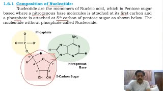 Chapter 1   Biological Molecules  Part 20  Nucleic acids  Sindh Text Board [upl. by Geibel790]