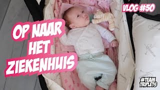 BABYS KRIJGEN CONTROLE ☆ DRIELING FAMILIE VLOG 50 [upl. by Ahsyad650]