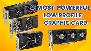 Best Low Profile Graphics Card 2024 [upl. by Ailecnarf]