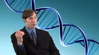 Stephen Meyer on Intelligent Design What is the origin of digital information found in DNA [upl. by Broderick]