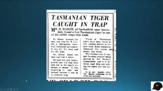 TRU  Thyla Bites Episode 19 The 1953 Maher Thylacine Tasmanian tiger Sighting [upl. by Atsirc]