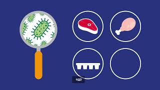 FSA Explains Salmonella [upl. by Led]