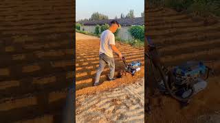 hillside hilly land orchard greenhouse corn field rotary tiller weeding [upl. by Refanej]