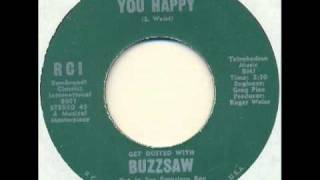 Buzzsaw  I can make you happy moody garage psych [upl. by Hgierb139]