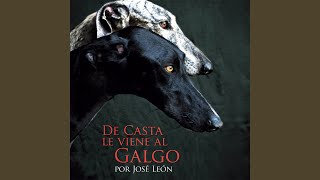 Los Galgos Son quotPaquot Las Liebres [upl. by Linette]