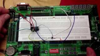 Breadboarding a 0  3 Up Counter with a D Flip Flop [upl. by Cirilla]