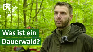 Naturgemäße Waldwirtschaft Ist der Dauerwald der Wald der Zukunft  Unser Land  BR [upl. by Darb]