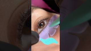 A little Lash Lift Tool Guide for you all lashliftandtint lashmotheruli lashliftandtinthacks [upl. by Solotsopa121]