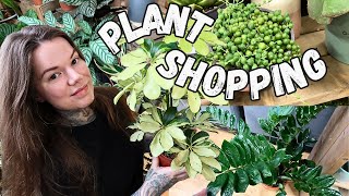 PLANT SHOPPING UK  Indoor Plant Haul [upl. by Ecerahc289]