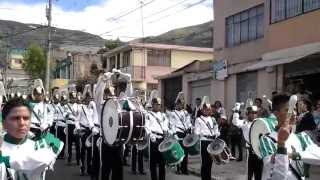 BANDA DE GUERRA AMAZONAS TRIBUNA DEL SUR 2013 [upl. by Desdee]