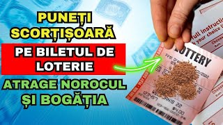 🍀Pune praf de scorțișoară pe un bilet de loterie și îmbogățeștete [upl. by Bourque]