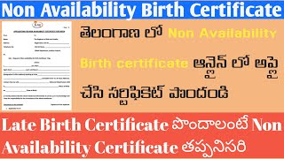 Non Availability Birth Certificate TeluguNon Availability Birth Certificate in Telangana [upl. by Kinata816]