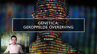 Genetica gekoppelde overerving [upl. by Noiztneb]