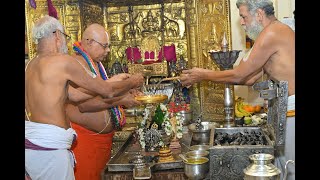 Nrusimha Jayanthi  Thirumanjanam amp Srimadh Bhagavata Moola Parayanam from Kanchi  Sri Ahobila Mutt [upl. by Lemrahc282]