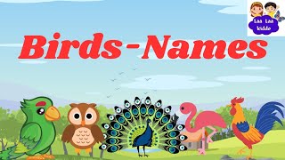 Birds name in Englishpreschool rhymesnursery rhymes [upl. by Euqinommod]