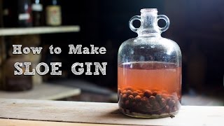 How to Make Sloe Gin  Simple and Amazing  Food It Yourself [upl. by Whitman]