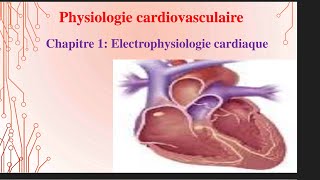 UE1 Physiologie CardioVasculaire 1 بالعربية  Electrophysiologie Cardiaque Partie 1 [upl. by Dusza]