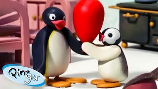 Pingu and his little sister Pinga 🐧  Pingu  Official Channel  Cartoons For Kids [upl. by Stephan]