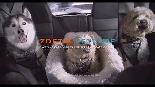 Zoetis PetCare Rewards [upl. by Ainotal]